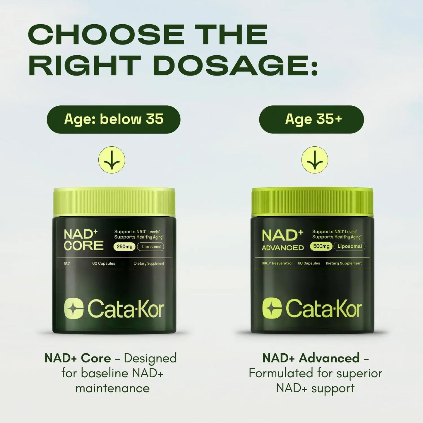 Cata-kor RejuveNAD™